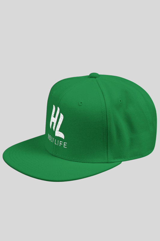 Modern Fit Snapback Hat (Embroidered) - Holy Life Brand